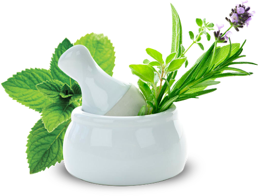 Decorative herbs
